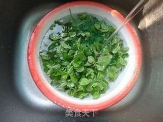 薄荷牛排汤的做法步骤:6