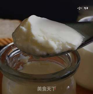 自制奶粉酸奶/烤箱版的做法步骤:2