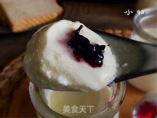 自制奶粉酸奶/烤箱版的做法步骤:12