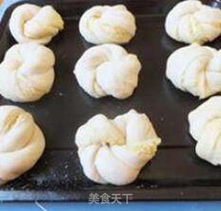 椰蓉面包的做法步骤:14