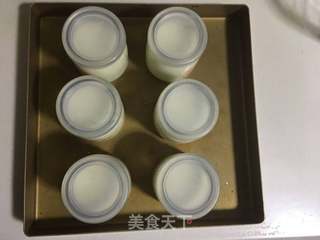 自制奶粉酸奶/烤箱版的做法步骤:7