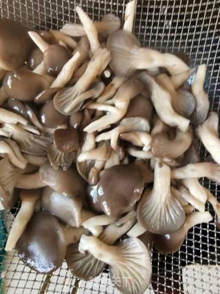 土鸡炖蘑菇的做法步骤:5