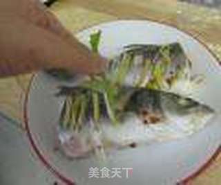 【电饭煲也能做饭店菜】清蒸鲈鱼的做法步骤:11
