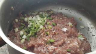 白菜猪肉饺的做法步骤：2