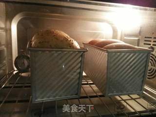 红糖吐司的做法步骤:13