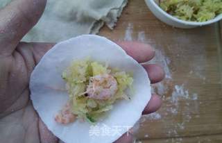 水晶磷虾饺子的做法步骤:10