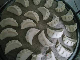 猪肉白菜水饺的做法步骤:9