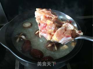 鸡煲火锅的做法步骤:15