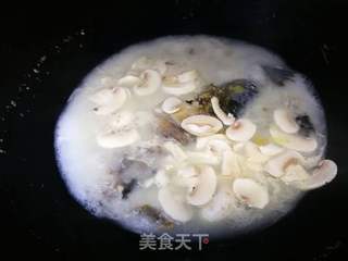 奶白鲫鱼汤的做法步骤:7