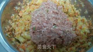 美味营养的大白菜胡萝卜饺子的做法步骤:6