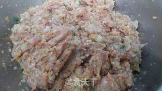 美味营养的大白菜胡萝卜饺子的做法步骤:7