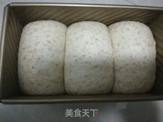 中种全麦吐司的做法步骤:16