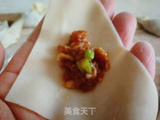 快手馄饨的做法步骤:15