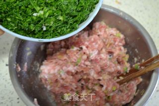 茴香大肉饺子的做法步骤：8