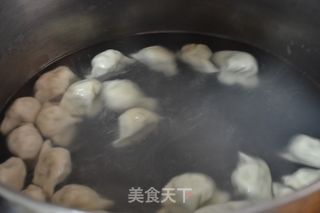 茴香大肉饺子的做法步骤：16
