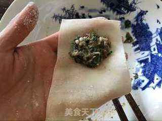 荠菜鲜肉小馄饨的做法步骤:5