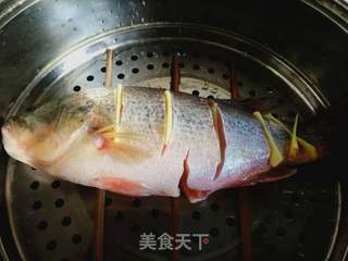 懒人版蒸鱼——蒸鲈鱼的做法步骤:5