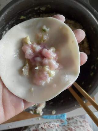 白菜猪肉饺子的做法步骤：4