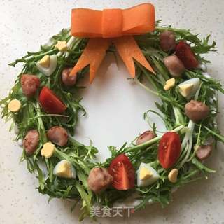 圣诞花环的做法步骤:9