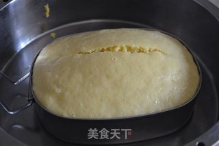 鲜玉米发糕的做法步骤：13