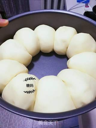 超软牛奶早餐包的做法步骤:6