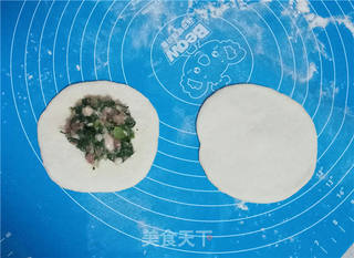 青菜肉包的做法步骤:7