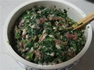 青菜肉包的做法步骤:4