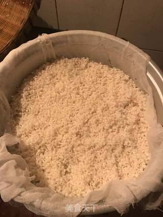 自制醪糟的做法步骤:2