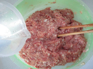 萝卜丝猪肉馅饼的做法步骤:5