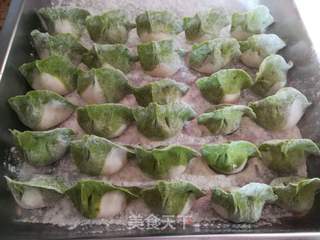 白菜果仁饺子的做法步骤:7