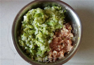 白菜猪肉水饺的做法步骤:4