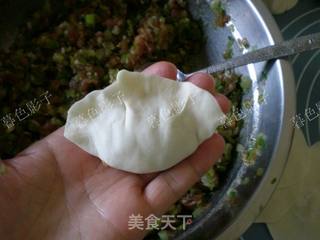芹菜猪肉大馅水饺的做法步骤:6