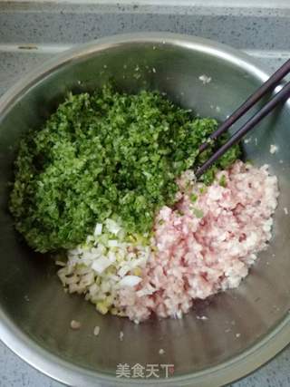 芹菜猪肉馅饺子的做法步骤:5