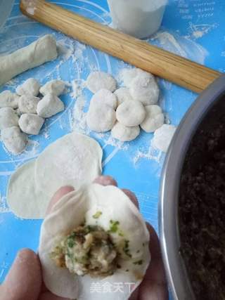 芹菜猪肉馅饺子的做法步骤:9