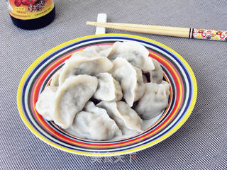 猪肉白菜韭菜馅水饺的做法步骤:11