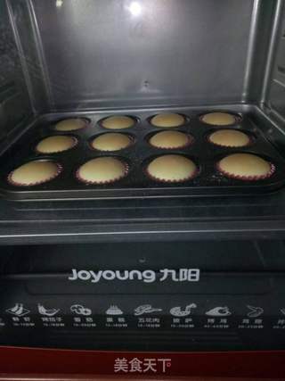 奶酪蛋糕的做法步骤：10