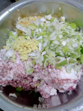 御寒美食-猪肉酸菜水饺的做法步骤:4