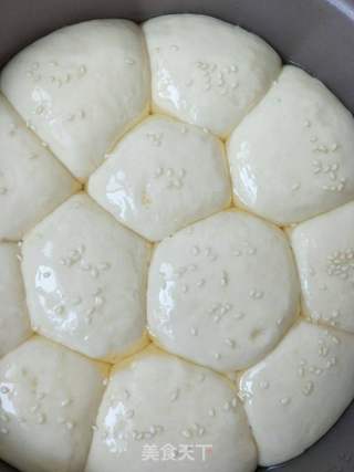 椰蓉面包的做法步骤:5