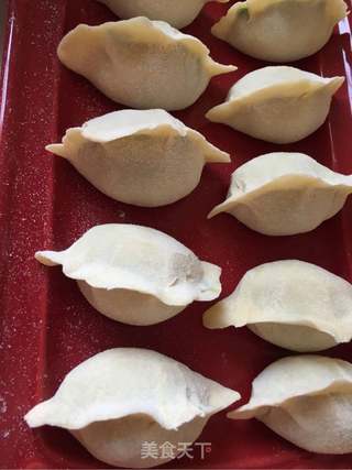 海参白菜猪肉饺子的做法步骤:9