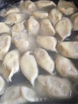 海参白菜猪肉饺子的做法步骤:10