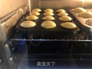 香橙迷你小蛋糕的做法步骤:14