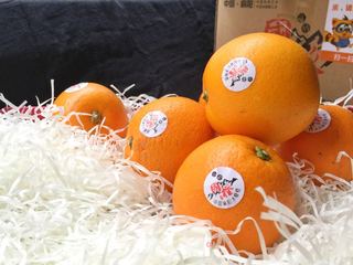 【甜品】冰糖蒸橙的做法步骤:2