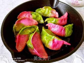 彩色煎饺的做法步骤:7