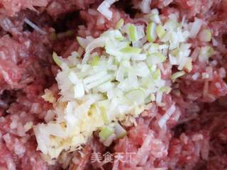 牛肉萝卜饺子的做法步骤:13