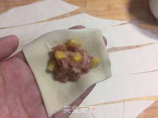 猪肉玉米馄饨的做法步骤:10