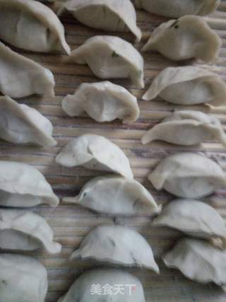 韭菜粉条馅饺子的做法步骤:15