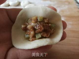 猪肉芹菜水饺的做法步骤：13