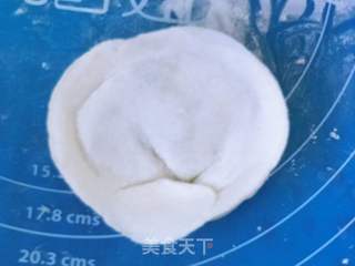 西米水晶元宝饺子的做法步骤:7