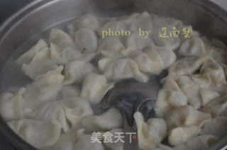 莲藕肉饺子,口感超级棒的饺子的做法步骤:15