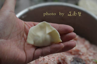 莲藕肉饺子,口感超级棒的饺子的做法步骤:13
